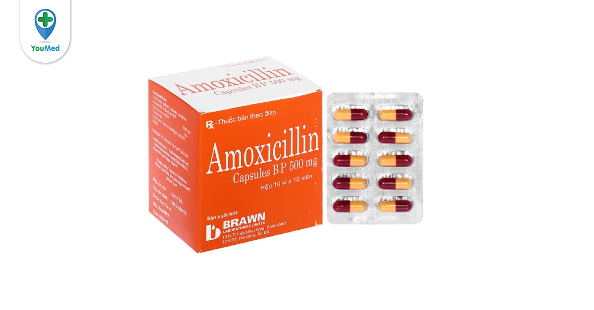 Kháng Sinh Amoxicillin Brawn Là Thuốc Gì Công Dụng Cách Dùng Và Lưu ý