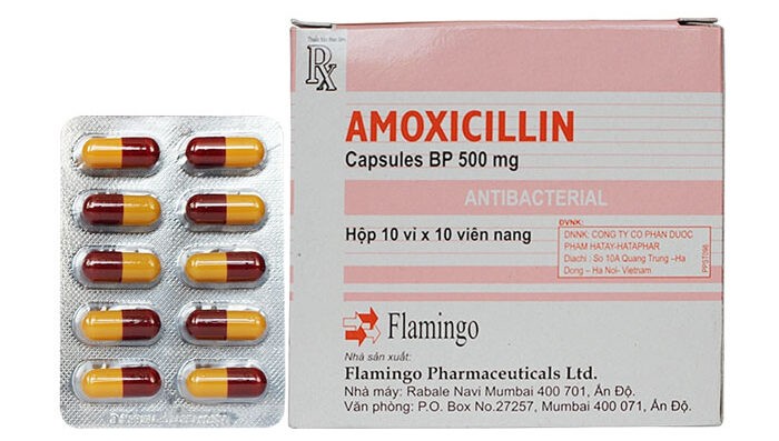 Amoxicillin Flamingo là thuốc kê đơn, chỉ được dùng khi được bác sĩ chỉ định.