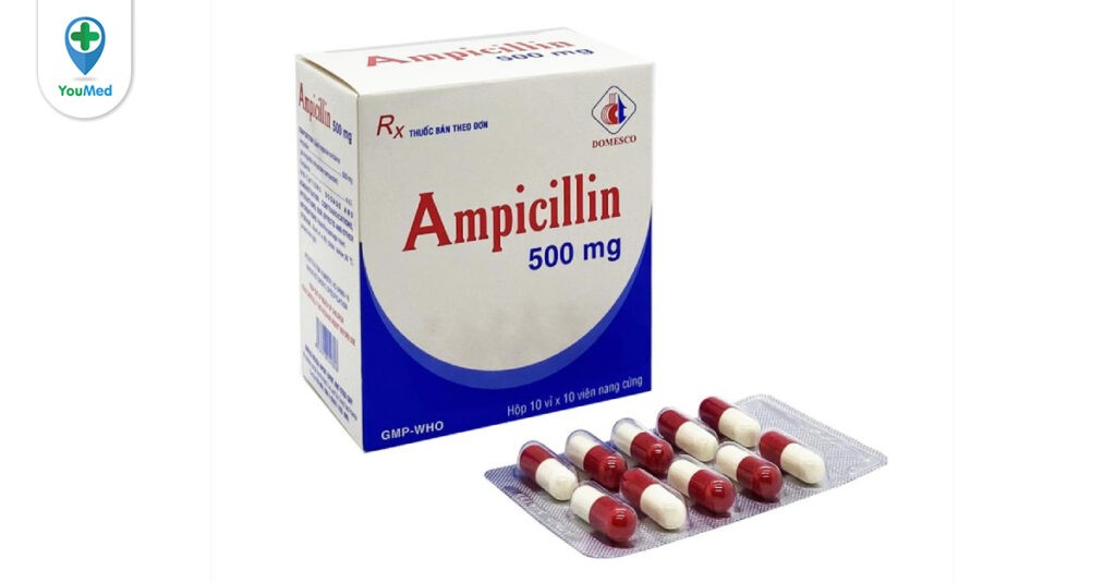Ampicillin Domesco là thuốc gì? Công dụng, cách dùng và lưu ý khi dùng