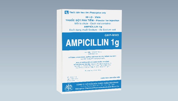bột tiêm Ampicillin 1g