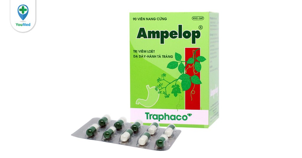 Ampelop là thuốc gì? Công dụng, cách dùng và lưu ý khi dùng