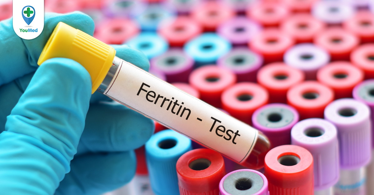 ferritin المعدل الطبيعي