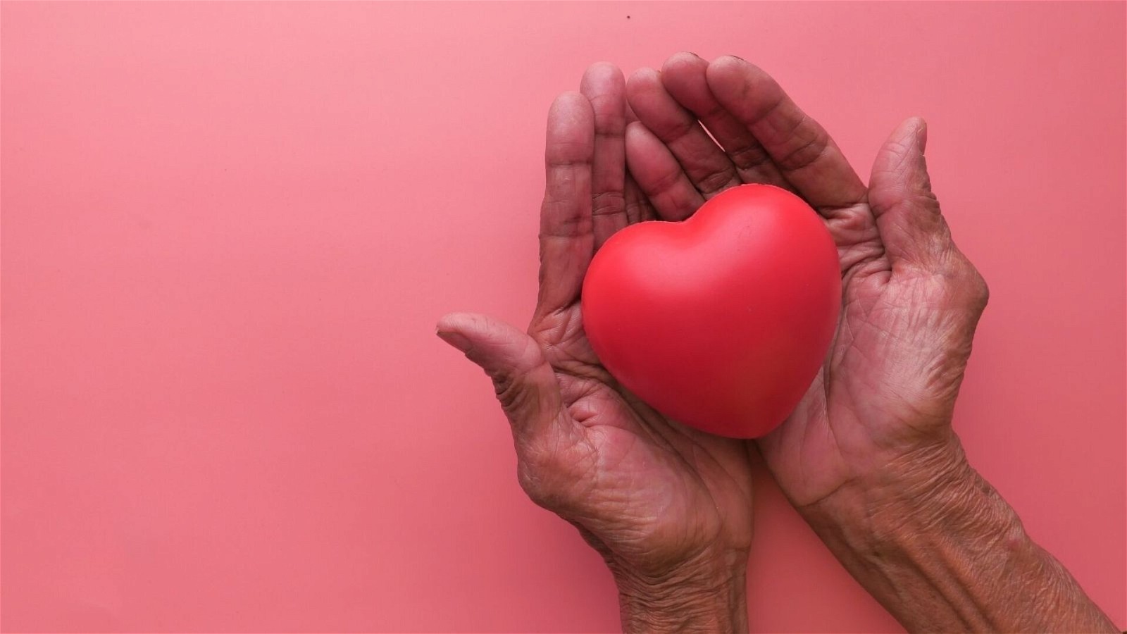 CoQ10 giúp hỗ trợ sức khỏe tim mạch, phù hợp với người cao tuổi 