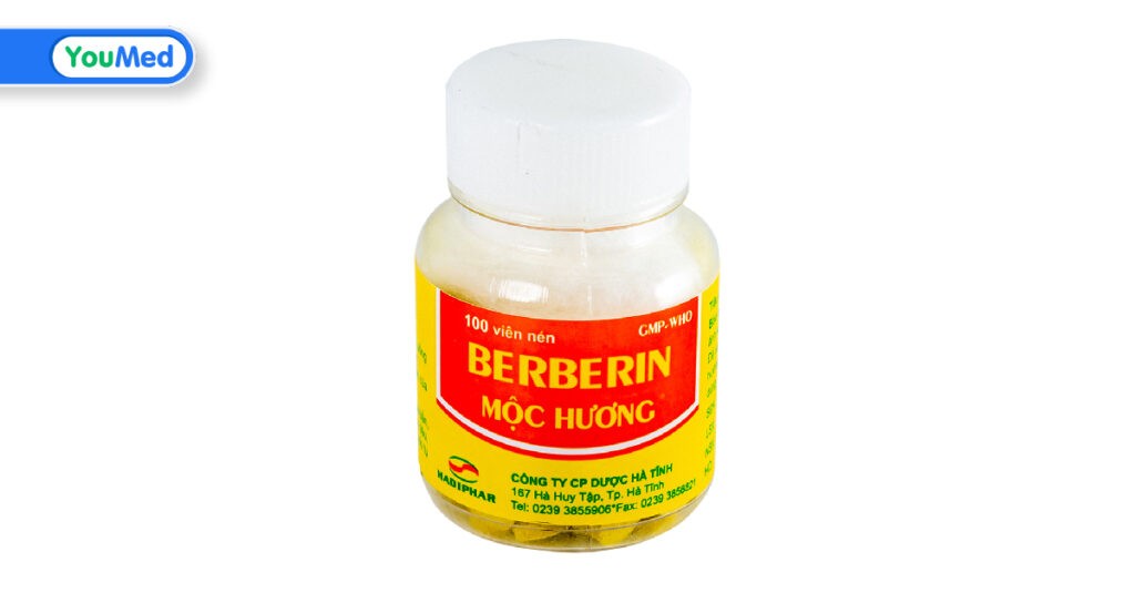 Berberin Mộc Hương là thuốc gì? Công dụng, cách dùng và lưu ý khi dùng